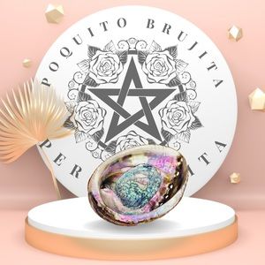 New Abalone Shell for Smudging, Cleansing and Rituals